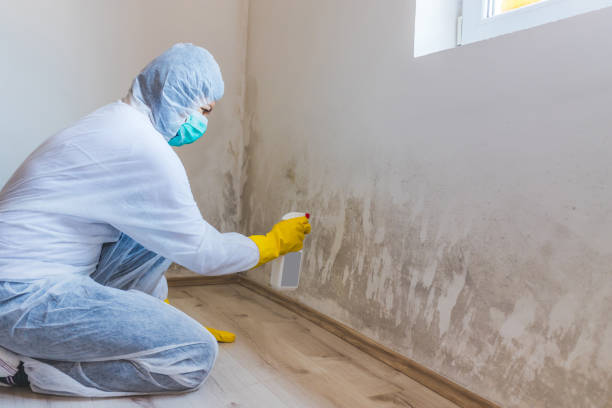 Hvac And Air Duct Mold Remediation inspection of HVAC system in Dover